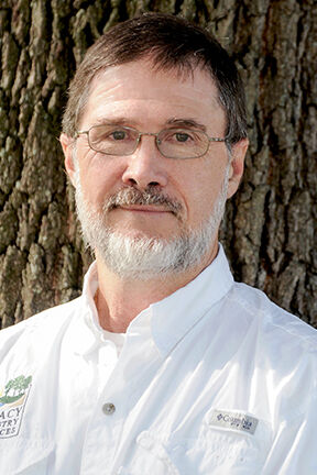 Eric Hoyer: The Arborist